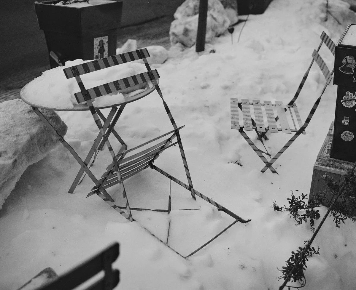 Thrones Amongst the Snow