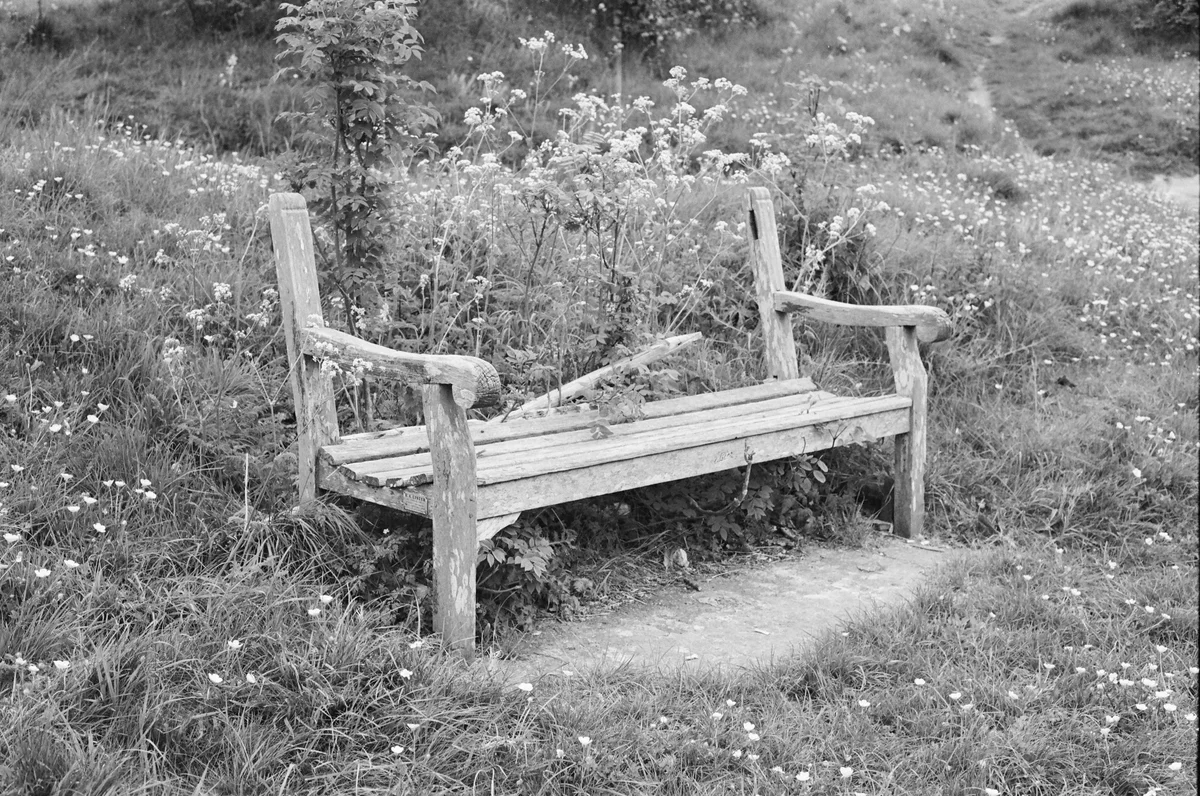 Throne for Two, or Three